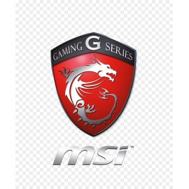 MSI