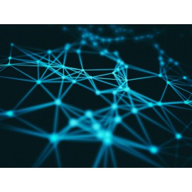 Networks and Communication Devices